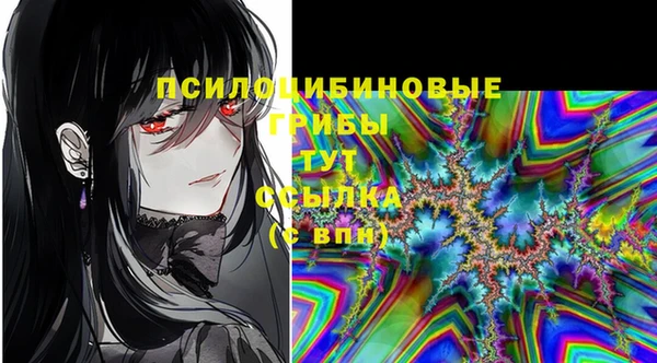 ECSTASY Балабаново