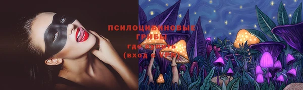 герыч Арсеньев