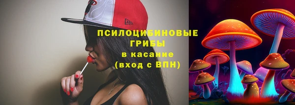 герыч Арсеньев