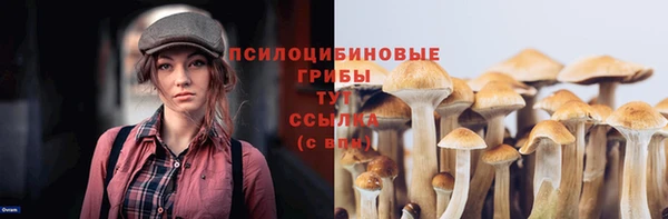 бошки Аркадак