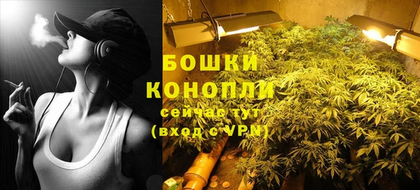 бошки Аркадак