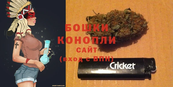 бошки Аркадак