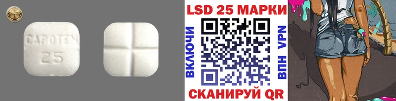 как найти закладки  Сокол  Лсд 25 экстази ecstasy 