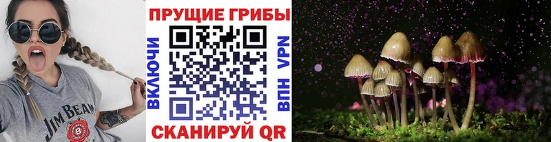 ссылка на мегу ссылки  Сокол  Псилоцибиновые грибы прущие грибы 